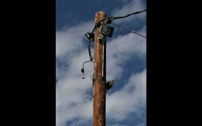 Quartz Security Light